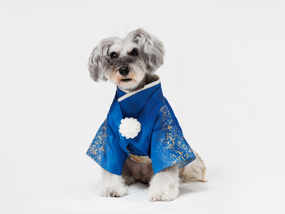 ドレスサロンLaReine（ラレンヌ） ワンちゃん用着物