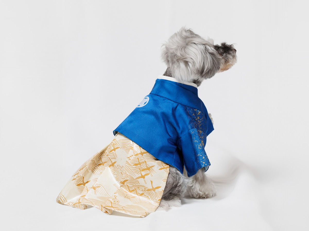 ドレスサロンLaReine（ラレンヌ） ワンちゃん用着物