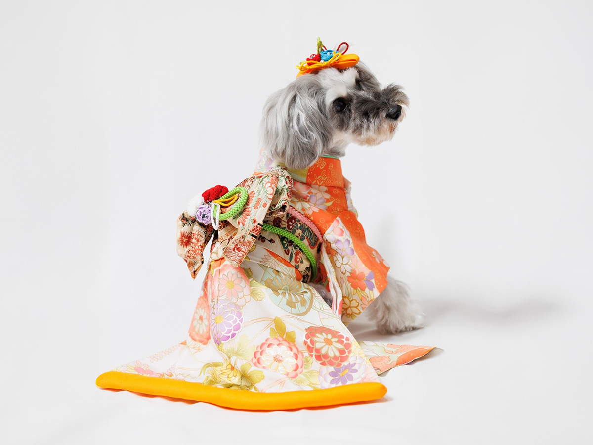 ドレスサロンLaReine（ラレンヌ） ワンちゃん用着物